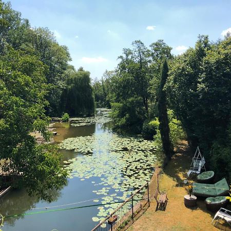 Magnifique Moulin Proche Chablis, Jacuzzi Et Riviere Villa Annay-sur-Serein Buitenkant foto