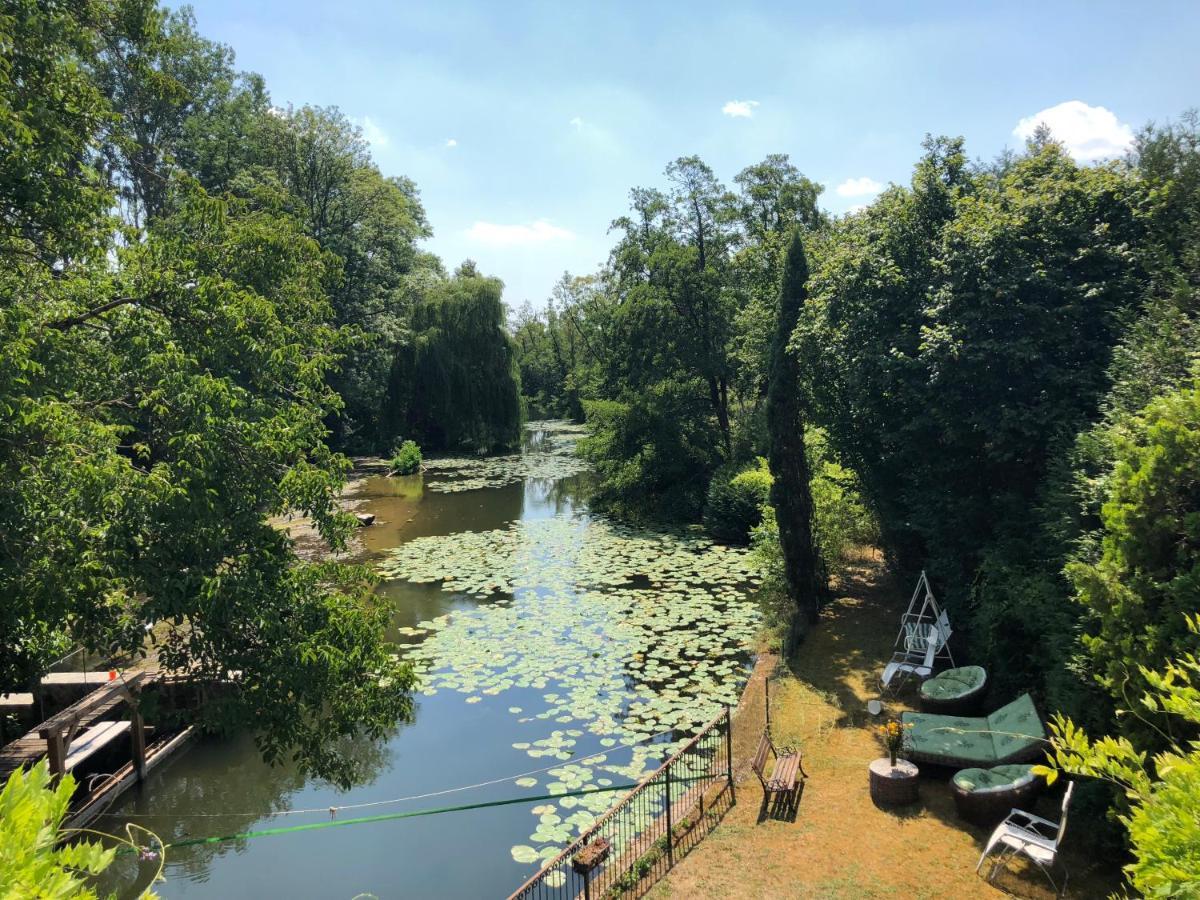 Magnifique Moulin Proche Chablis, Jacuzzi Et Riviere Villa Annay-sur-Serein Buitenkant foto