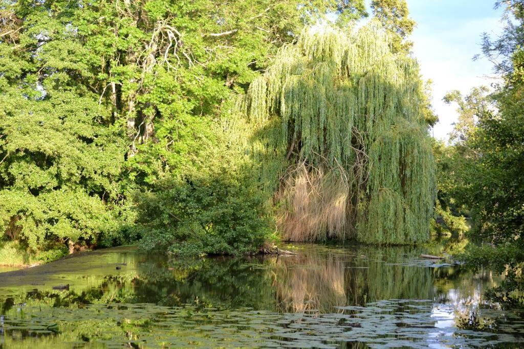 Magnifique Moulin Proche Chablis, Jacuzzi Et Riviere Villa Annay-sur-Serein Buitenkant foto