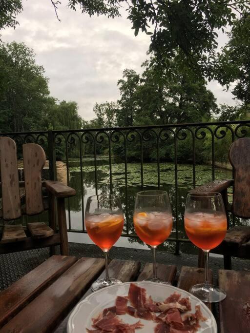 Magnifique Moulin Proche Chablis, Jacuzzi Et Riviere Villa Annay-sur-Serein Buitenkant foto