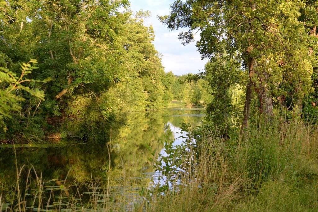 Magnifique Moulin Proche Chablis, Jacuzzi Et Riviere Villa Annay-sur-Serein Buitenkant foto