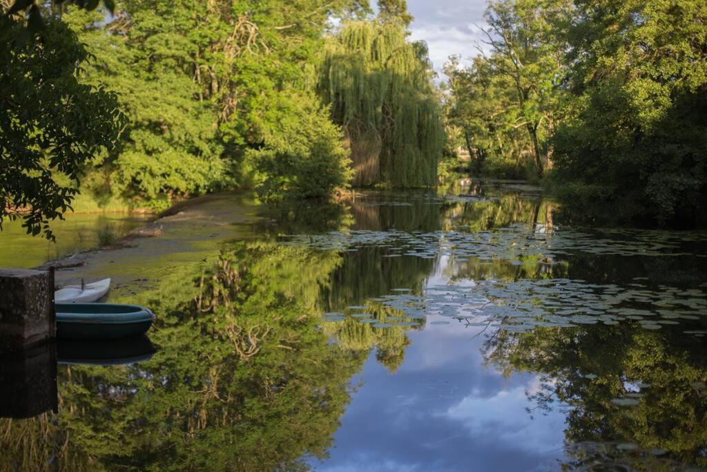 Magnifique Moulin Proche Chablis, Jacuzzi Et Riviere Villa Annay-sur-Serein Buitenkant foto