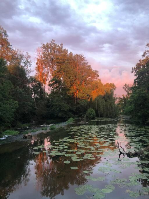 Magnifique Moulin Proche Chablis, Jacuzzi Et Riviere Villa Annay-sur-Serein Buitenkant foto