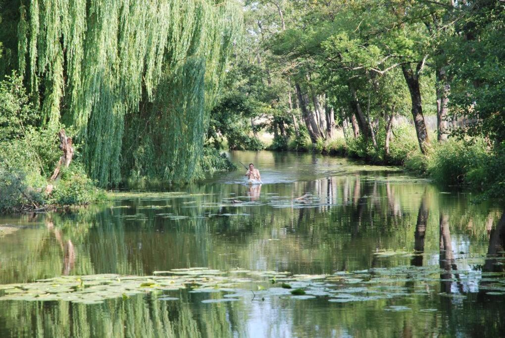Magnifique Moulin Proche Chablis, Jacuzzi Et Riviere Villa Annay-sur-Serein Buitenkant foto