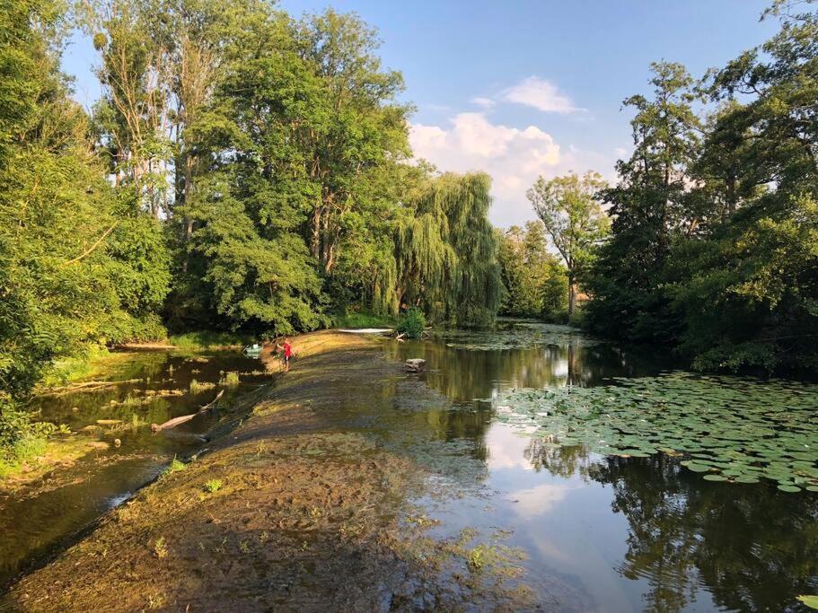 Magnifique Moulin Proche Chablis, Jacuzzi Et Riviere Villa Annay-sur-Serein Buitenkant foto