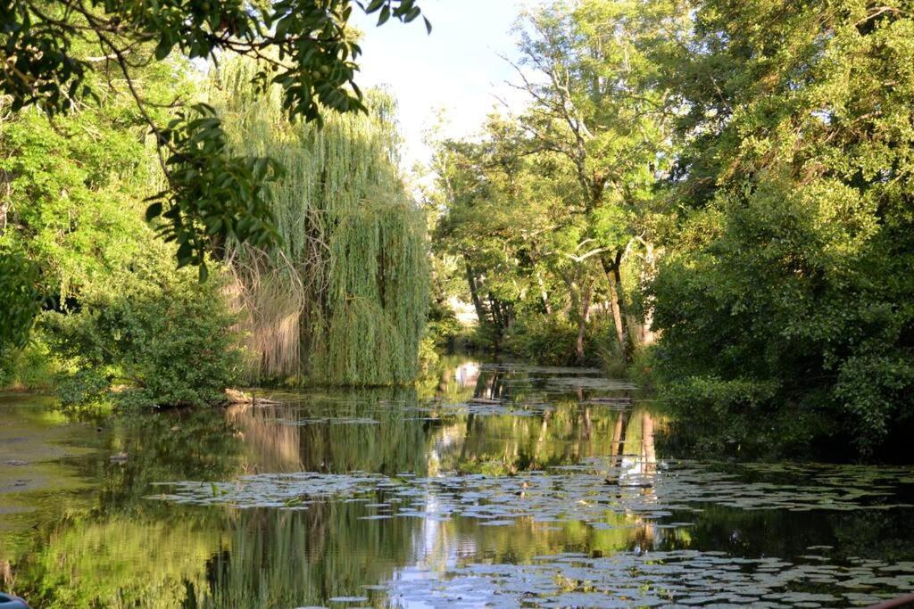 Magnifique Moulin Proche Chablis, Jacuzzi Et Riviere Villa Annay-sur-Serein Buitenkant foto