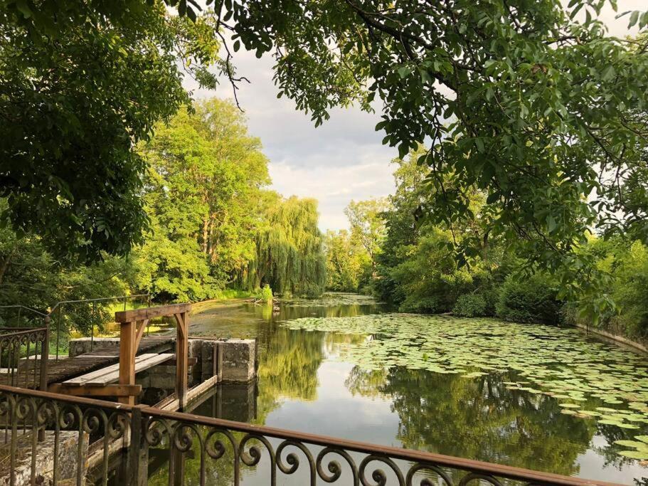 Magnifique Moulin Proche Chablis, Jacuzzi Et Riviere Villa Annay-sur-Serein Buitenkant foto